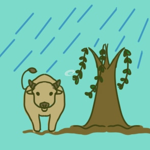 清明节高速免费吗 清明节高速免费吗